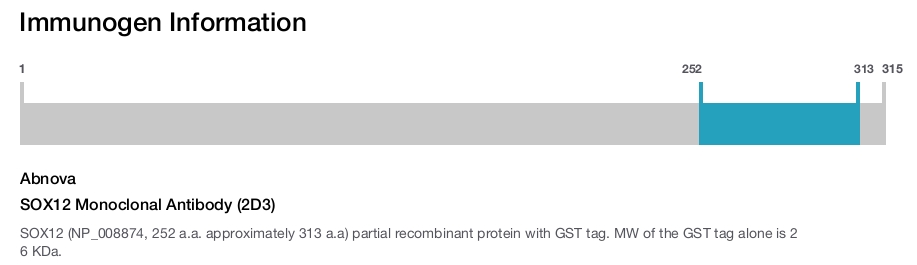 SOX12 Monoclonal Antibody (2D3)