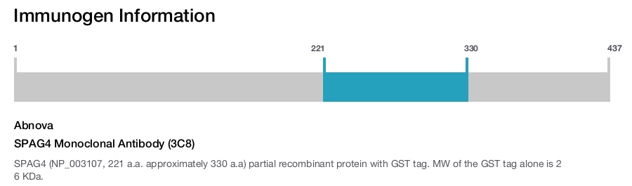 SPAG4 Monoclonal Antibody (3C8)