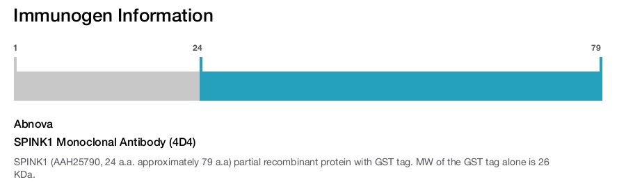 SPINK1 Monoclonal Antibody (4D4)