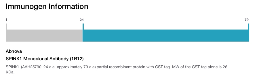 SPINK1 Monoclonal Antibody (1B12)