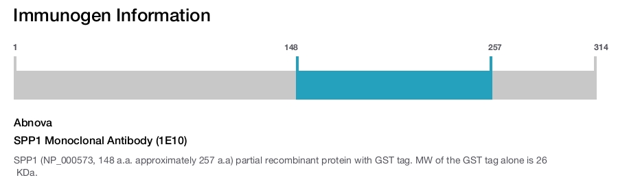 SPP1 Monoclonal Antibody (1E10)