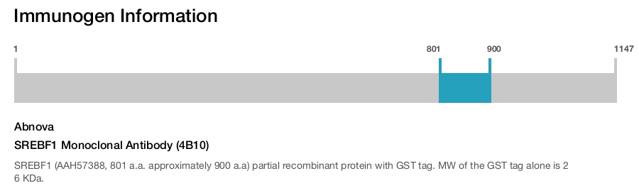 SREBF1 Monoclonal Antibody (4B10)