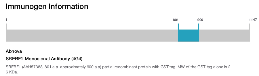 SREBF1 Monoclonal Antibody (4G4)