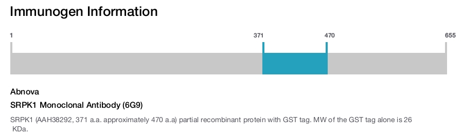 SRPK1 Monoclonal Antibody (6G9)