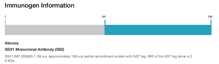 SSX1 Monoclonal Antibody (5B2)
