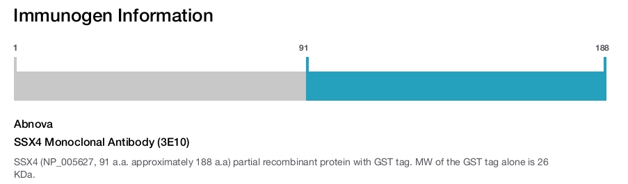 SSX4 Monoclonal Antibody (3E10)