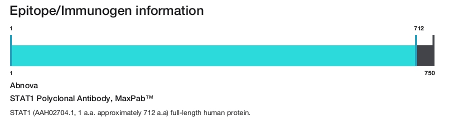 STAT1 Polyclonal Antibody, MaxPab&trade;
