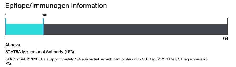 STAT5A Monoclonal Antibody (1E3)