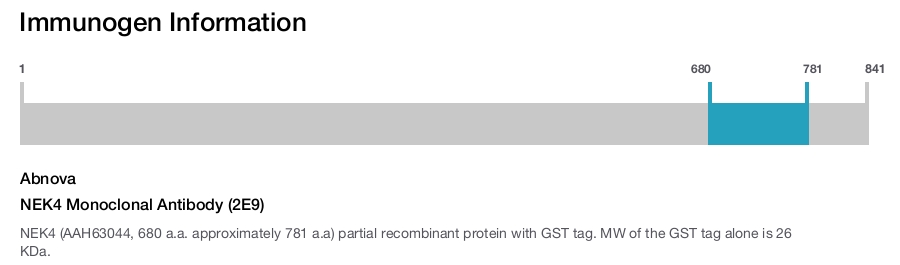 NEK4 Monoclonal Antibody (2E9)