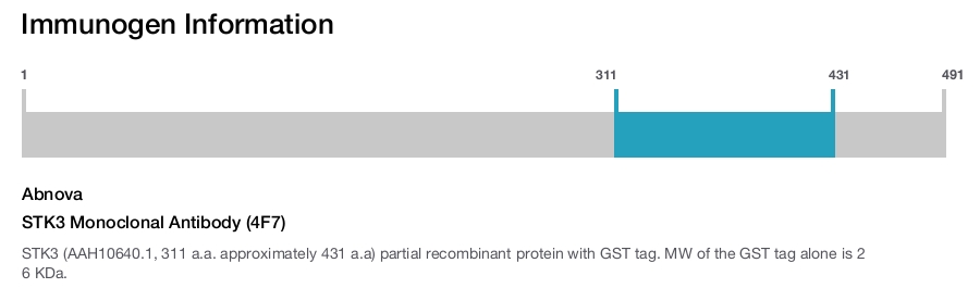 STK3 Monoclonal Antibody (4F7)