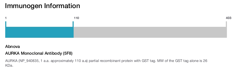 AURKA Monoclonal Antibody (5F8)
