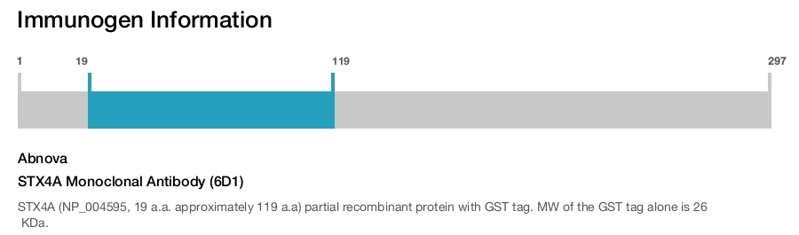 STX4A Monoclonal Antibody (6D1)