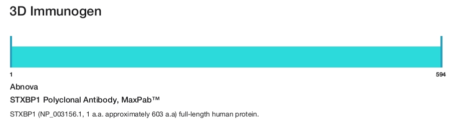 STXBP1 Polyclonal Antibody, MaxPab&trade;