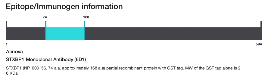 STXBP1 Monoclonal Antibody (6D1)