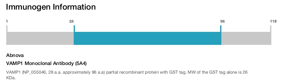 VAMP1 Monoclonal Antibody (5A4)