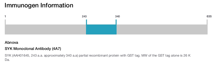 SYK Monoclonal Antibody (4A7)
