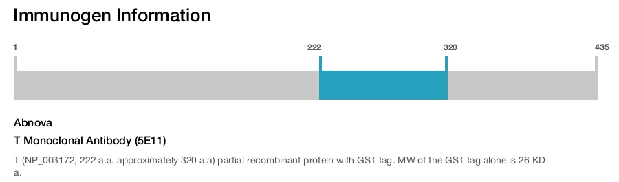 T Monoclonal Antibody (5E11)