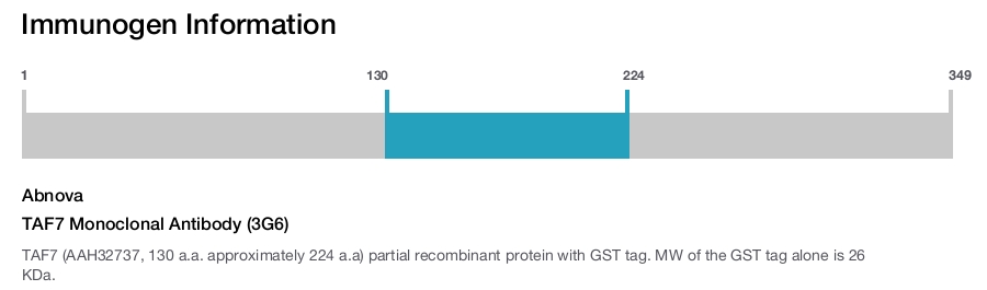 TAF7 Monoclonal Antibody (3G6)