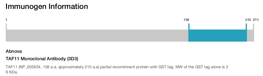 TAF11 Monoclonal Antibody (3D3)