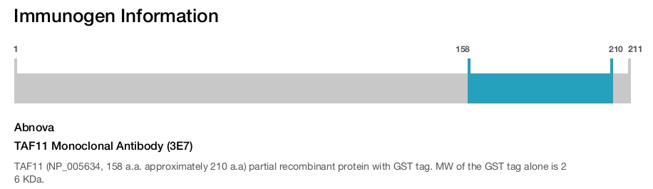 TAF11 Monoclonal Antibody (3E7)