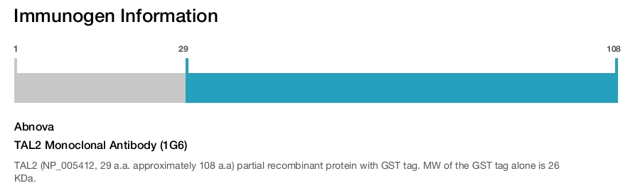 TAL2 Monoclonal Antibody (1G6)
