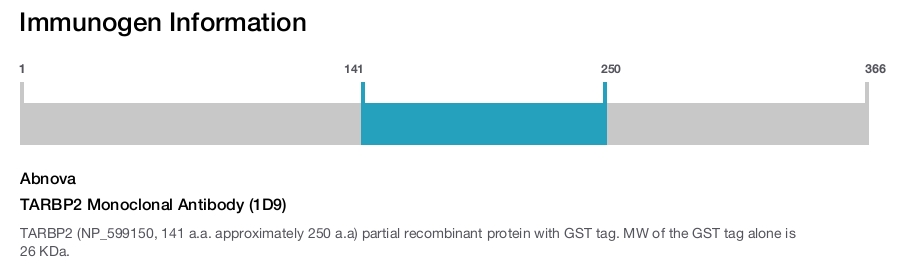 TARBP2 Monoclonal Antibody (1D9)