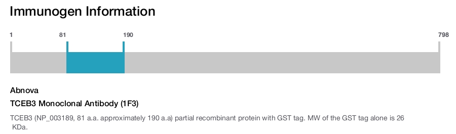 TCEB3 Monoclonal Antibody (1F3)