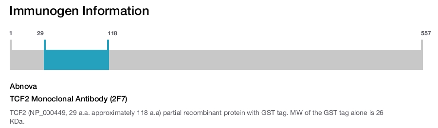 TCF2 Monoclonal Antibody (2F7)