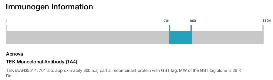 TEK Monoclonal Antibody (1A4)