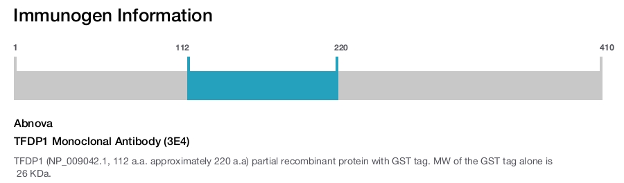 TFDP1 Monoclonal Antibody (3E4)
