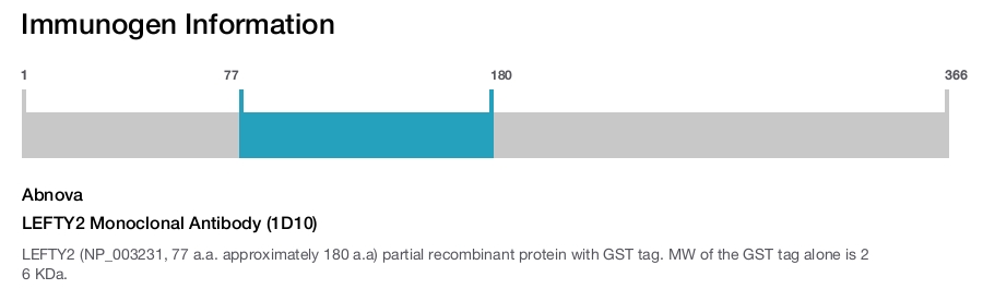 LEFTY2 Monoclonal Antibody (1D10)