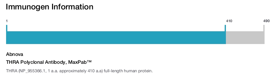 THRA Polyclonal Antibody, MaxPab™