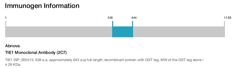 TIE1 Monoclonal Antibody (2C7)