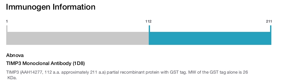 TIMP3 Monoclonal Antibody (1D8)