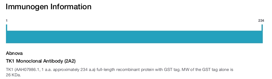 TK1 Monoclonal Antibody (2A2)
