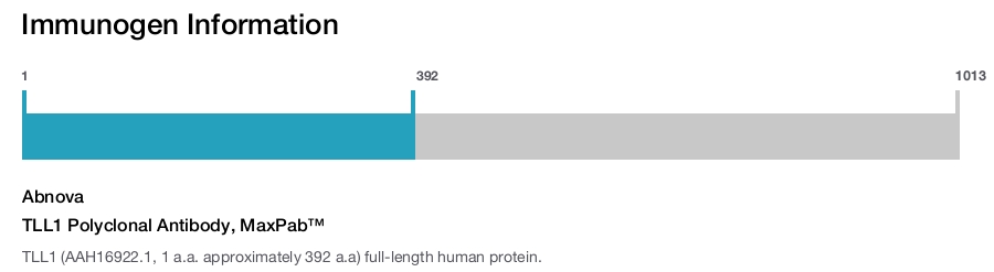 TLL1 Polyclonal Antibody, MaxPab&trade;
