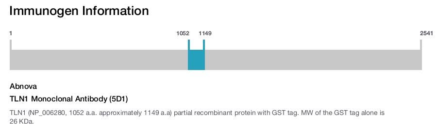 TLN1 Monoclonal Antibody (5D1)