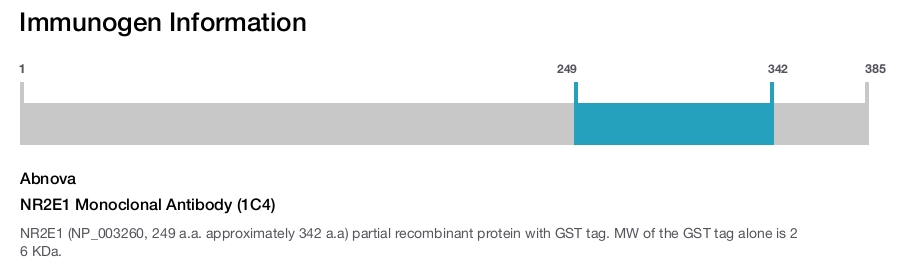 NR2E1 Monoclonal Antibody (1C4)