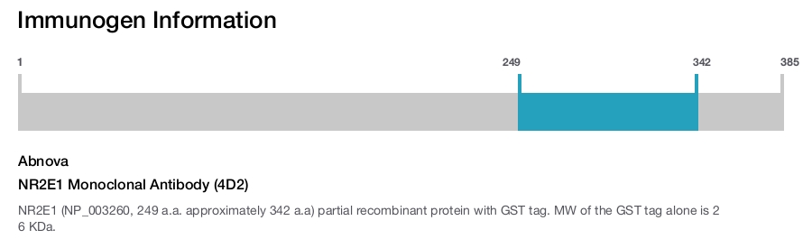 NR2E1 Monoclonal Antibody (4D2)