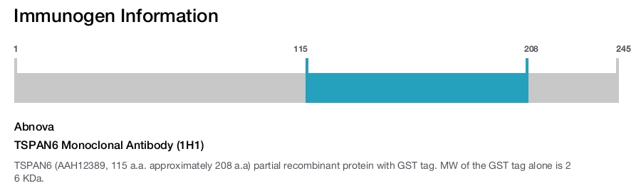 TSPAN6 Monoclonal Antibody (1H1)
