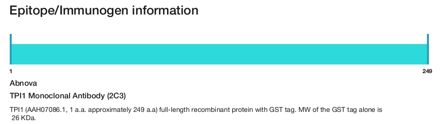 TPI1 Monoclonal Antibody (2C3)