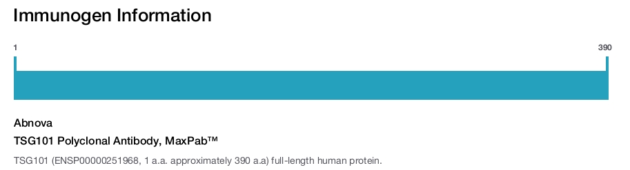 TSG101 Polyclonal Antibody, MaxPab™
