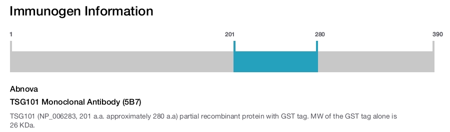 TSG101 Monoclonal Antibody (5B7)