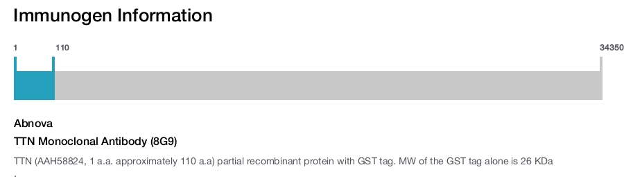TTN Monoclonal Antibody (8G9)