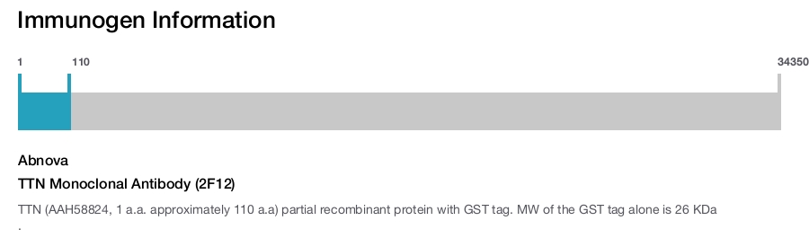 TTN Monoclonal Antibody (2F12)