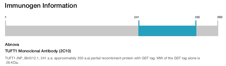 TUFT1 Monoclonal Antibody (2C10)