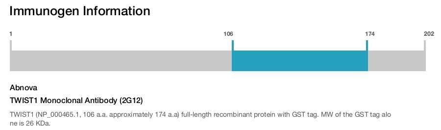 TWIST1 Monoclonal Antibody (2G12)