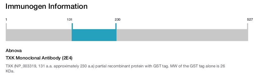 TXK Monoclonal Antibody (2E4)