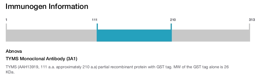 TYMS Monoclonal Antibody (3A1)