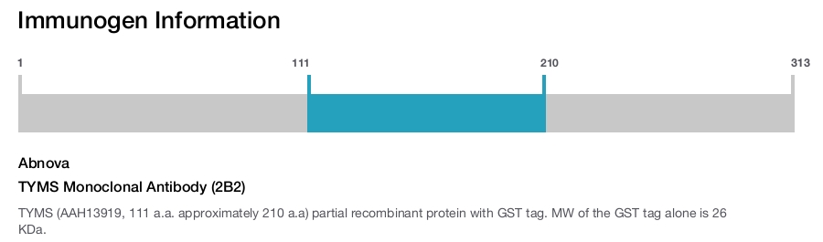TYMS Monoclonal Antibody (2B2)